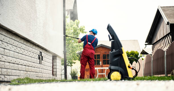 Best Driveway Pressure Washing  in South Alamo, TX